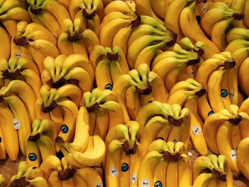 One of the Best Good Foods Post-Workout is Bananas